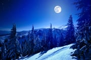 The full moon in December is nicknamed the "cold moon" because of the chilly weather arriving in the winter season.